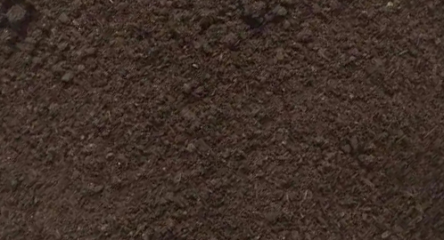 ˫�����������ȱ��