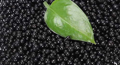 ��ʽ�����˵����